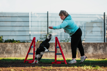 Martin Rütter Hundeschule Oer Erkenschwick Agility